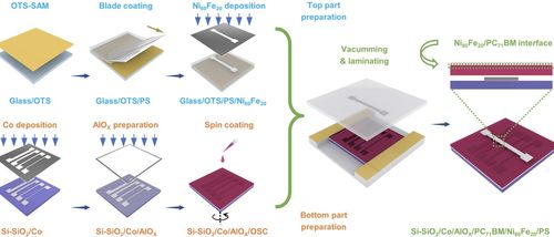 磁性電極無損轉(zhuǎn)移制備高性能自旋電子器件獲進(jìn)展